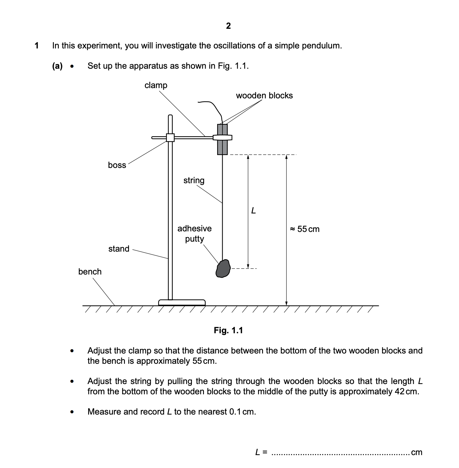 Pendulum Physics practical 2024